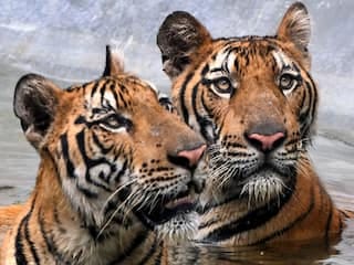 1758443305 f21afc9c ebb0 4c6f 8348 84527844d354