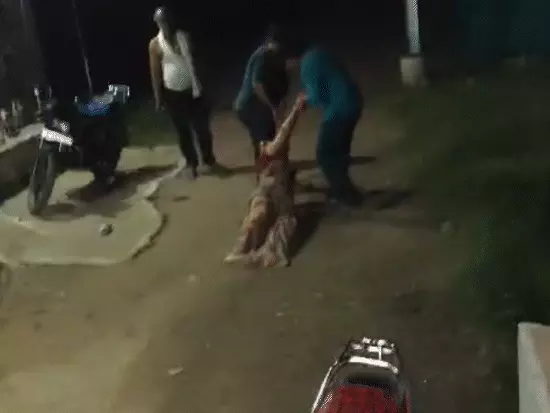 भोपाल: बीजेपी नेत्री को मंदिर विवाद में गुर्जरों ने पीटा, सड़क पर घसीटा 2 1759577602 comp 331 1759569768